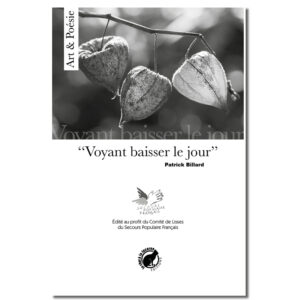 Voyant baisser le jour